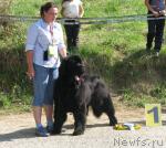 Превью фото № 19443