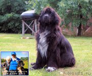 Превью фото № 194432