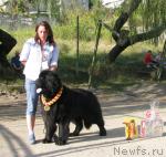 Превью фото № 19448