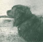 Превью фото № 1945