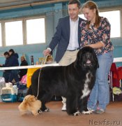 Превью фото № 194658