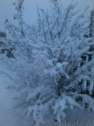 Превью фото № 194708