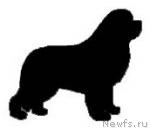 Превью фото № 19472