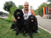 Превью фото № 194790