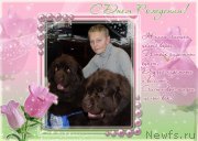 Превью фото № 194898