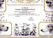 Превью фото № 194900