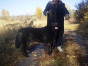 Превью фото № 194907