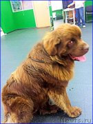 Превью фото № 194909