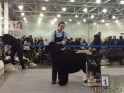 Превью фото № 194996