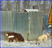 Превью фото № 195039