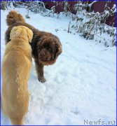 Превью фото № 195042