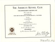 Превью фото № 195065