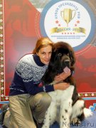 Превью фото № 195095