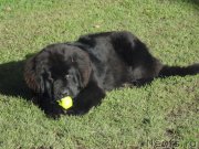 Превью фото № 195100