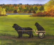 Превью фото № 195113