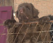 Превью фото № 195129