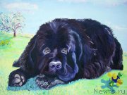 Превью фото № 195137