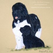 Превью фото № 195165