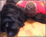 Превью фото № 195177