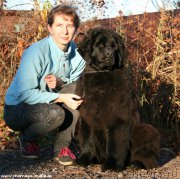 Превью фото № 195221