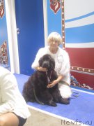 Превью фото № 195224