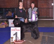 Превью фото № 195316