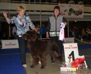 Превью фото № 195318