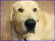 Превью фото № 195332