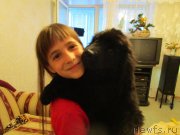 Превью фото № 195409