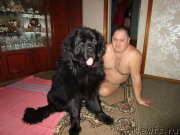 Превью фото № 195457