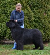 Превью фото № 195515