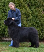 Превью фото № 195516