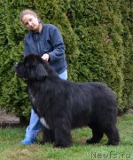 Превью фото № 195517