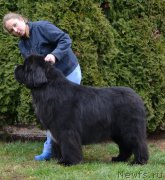 Превью фото № 195518