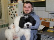 Превью фото № 195617