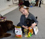 Превью фото № 195680