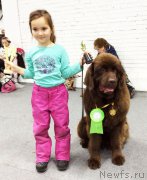 Превью фото № 195682