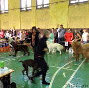 Превью фото № 195683