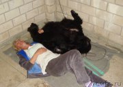 Превью фото № 195727