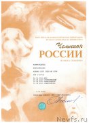 Превью фото № 195793