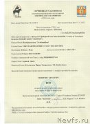 Превью фото № 195847