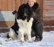 Превью фото № 195868