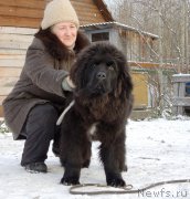 Превью фото № 195885