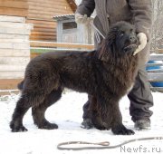 Превью фото № 195886