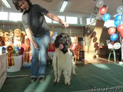 Превью фото № 195915