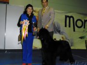 Превью фото № 195966