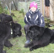 Превью фото № 195997