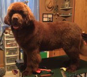 Превью фото № 195998