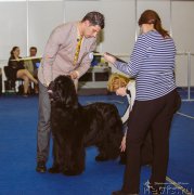 Превью фото № 196067