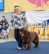 Превью фото № 196074